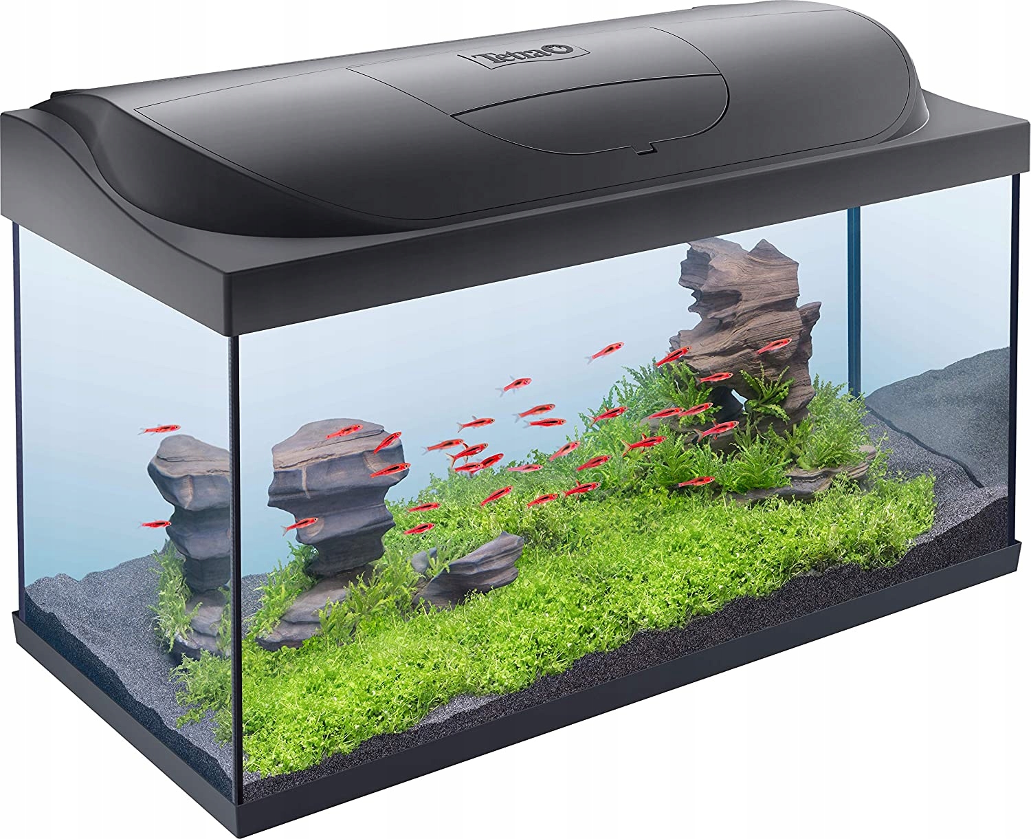 Levně Akvarijní set Tetra Starter line Led 76x47x38cm 105l