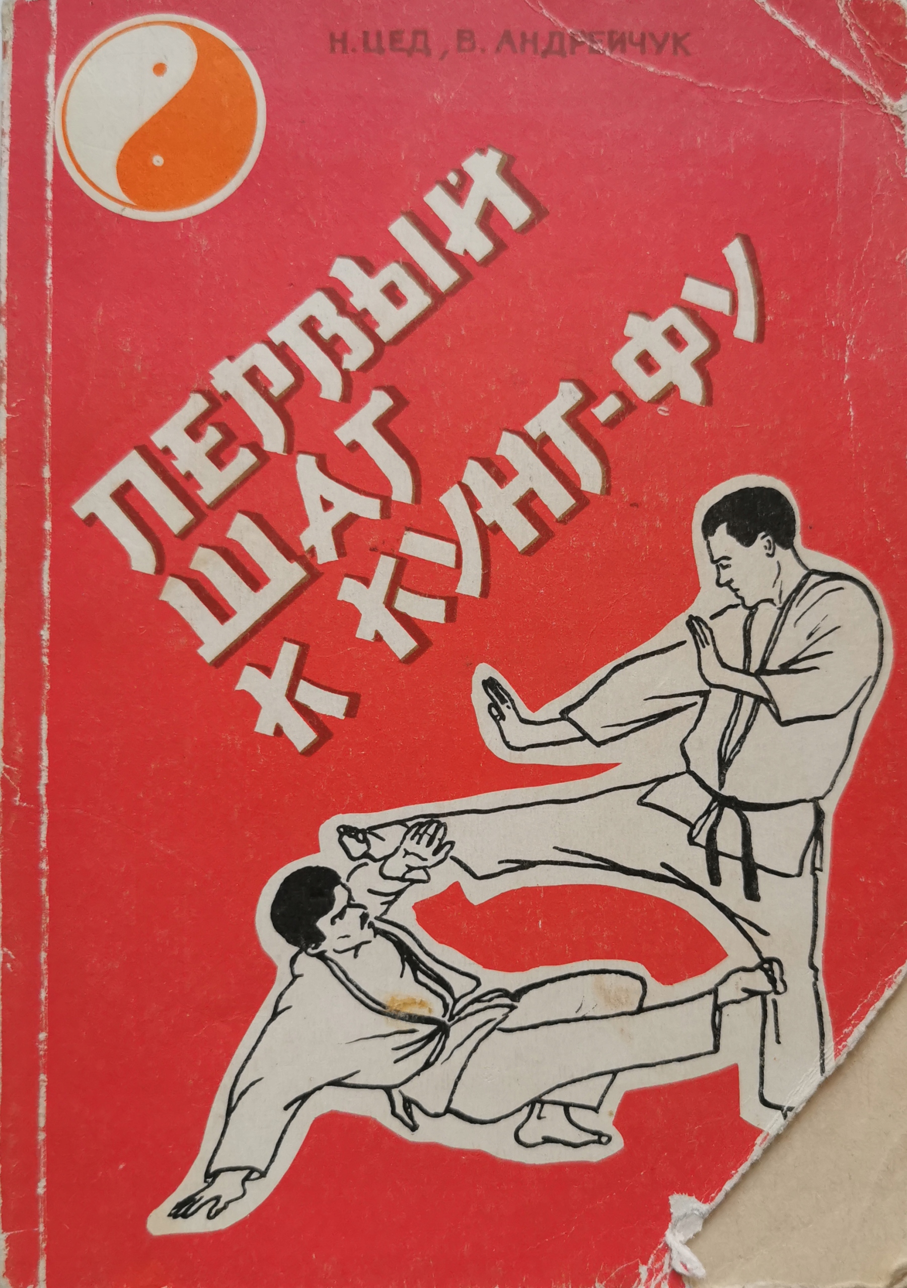 Первый шаг к кунг-фу