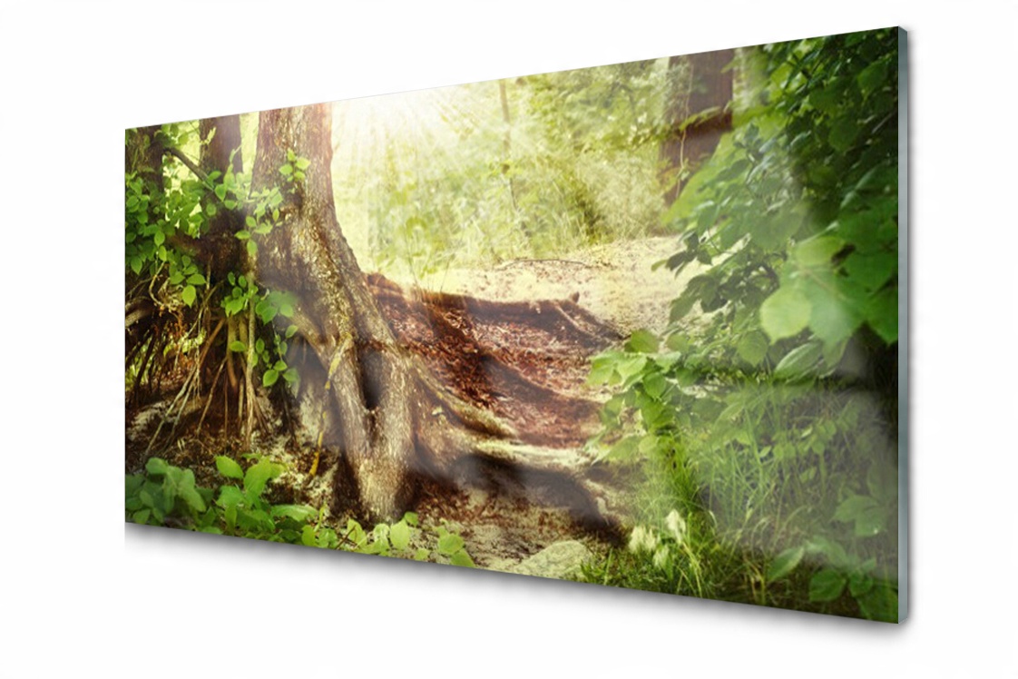 

Panel szklany Płytka Drzewo Pień Las 120x60