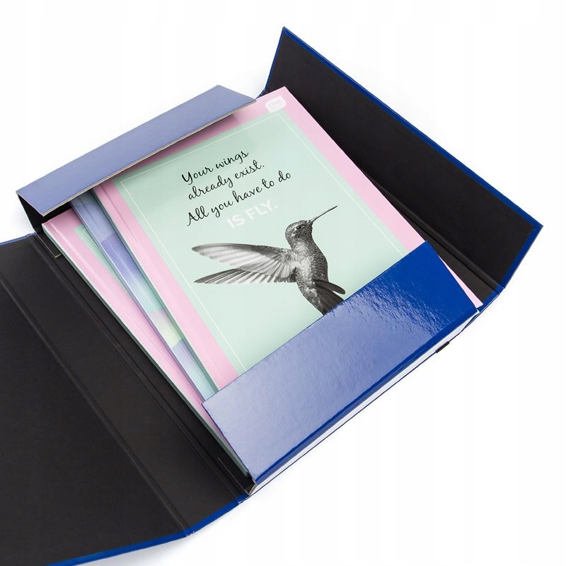 Teczka z gumką Vaupe Box Caribic 341 - niebieska Format A4