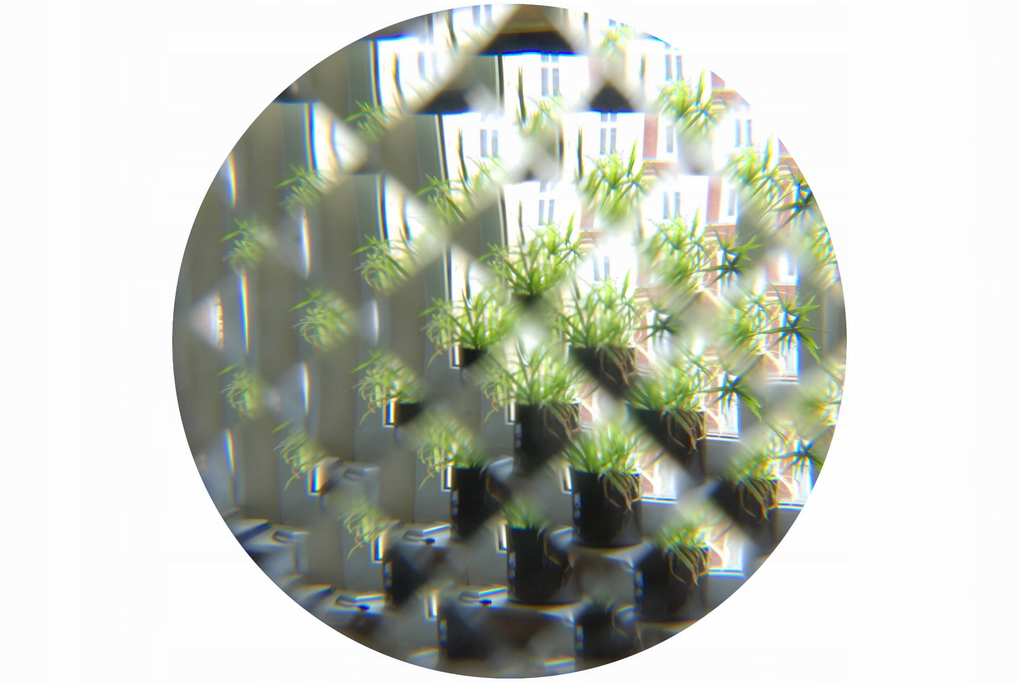 Owadzie okulary zwielokrotniające obraz DIY Marka AstroMedia