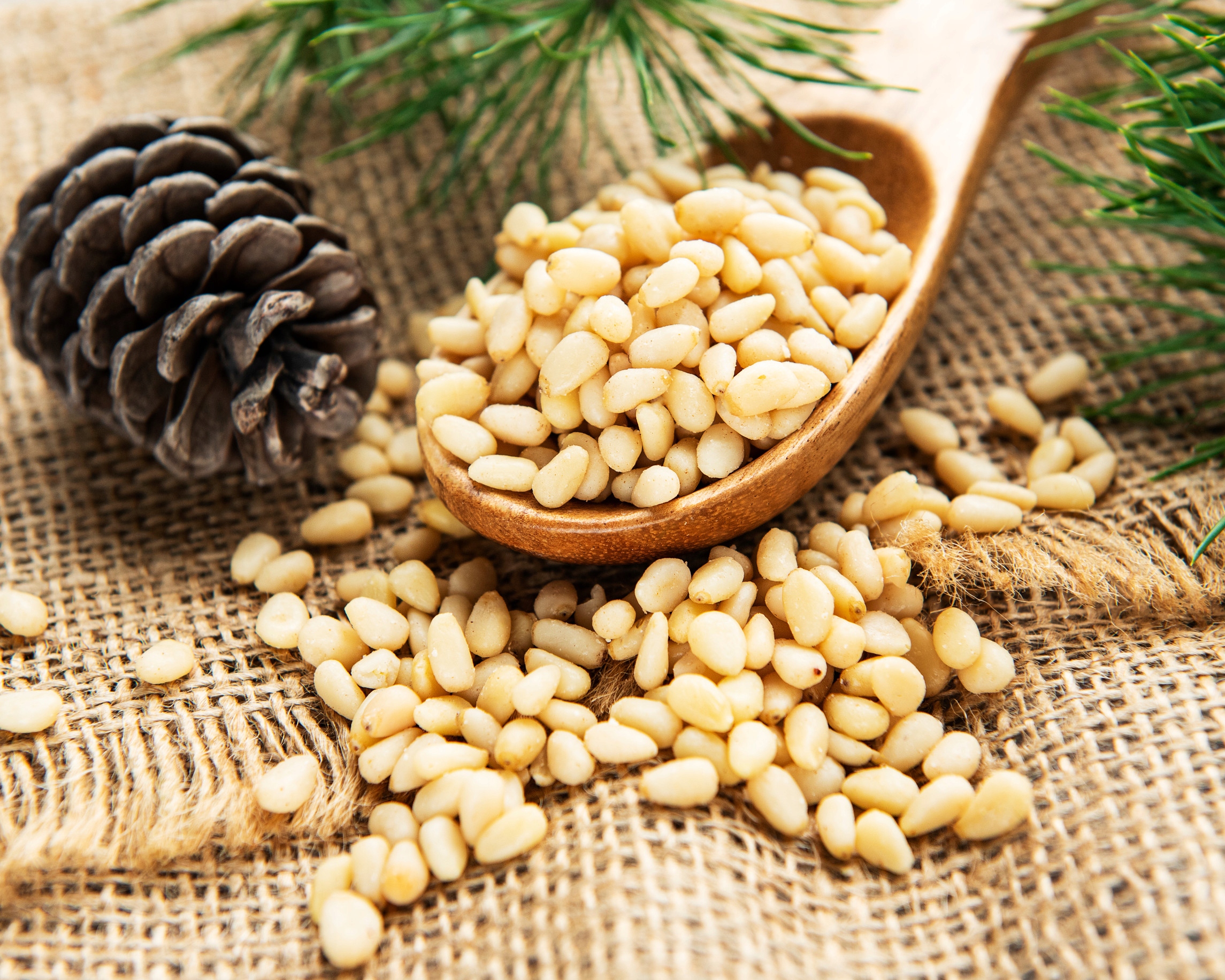 Levně Piniové Ořechy 1kg Premium Čerstvá sklizeň 2025