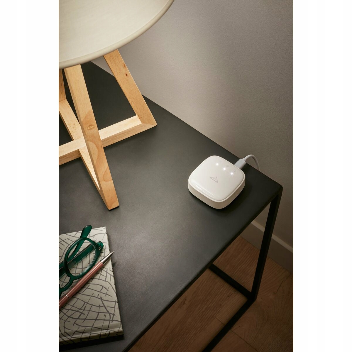 Centrala sterująca Enki Box Kod producenta 3276007366532