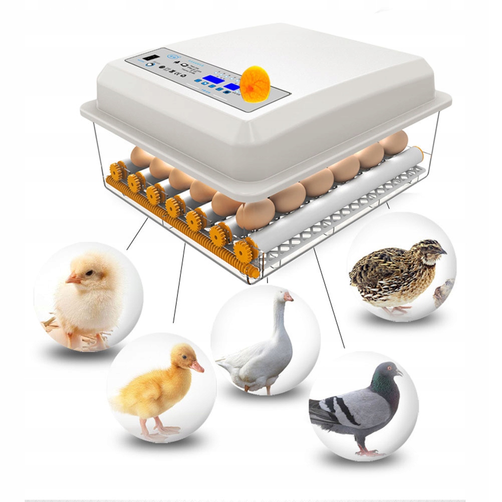 24 інкубатор для яєць повністю автоматичний інкубатор EAN (GTIN) 51666224