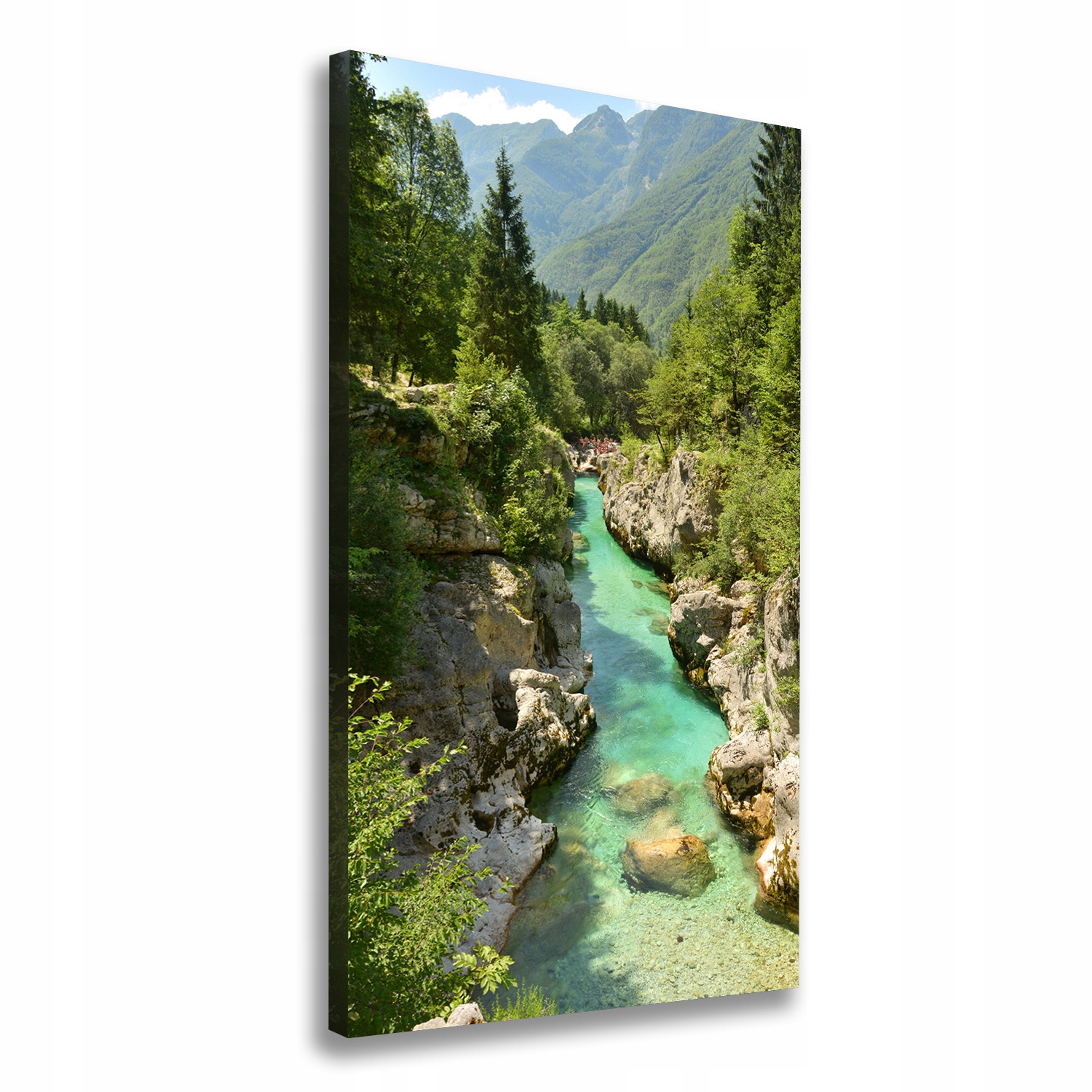 

Foto obraz canvas do salonu Potok górski 60x120