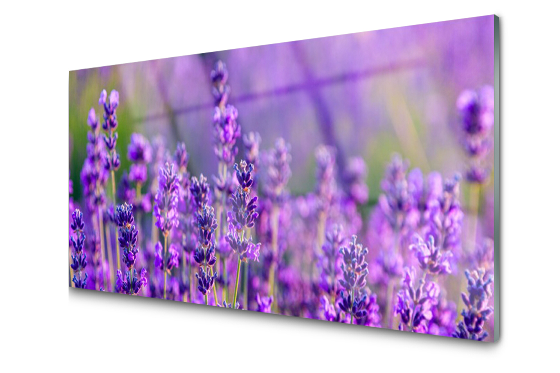 

Panel szklany Płytka Pole Lawenda 140x70 + Klej