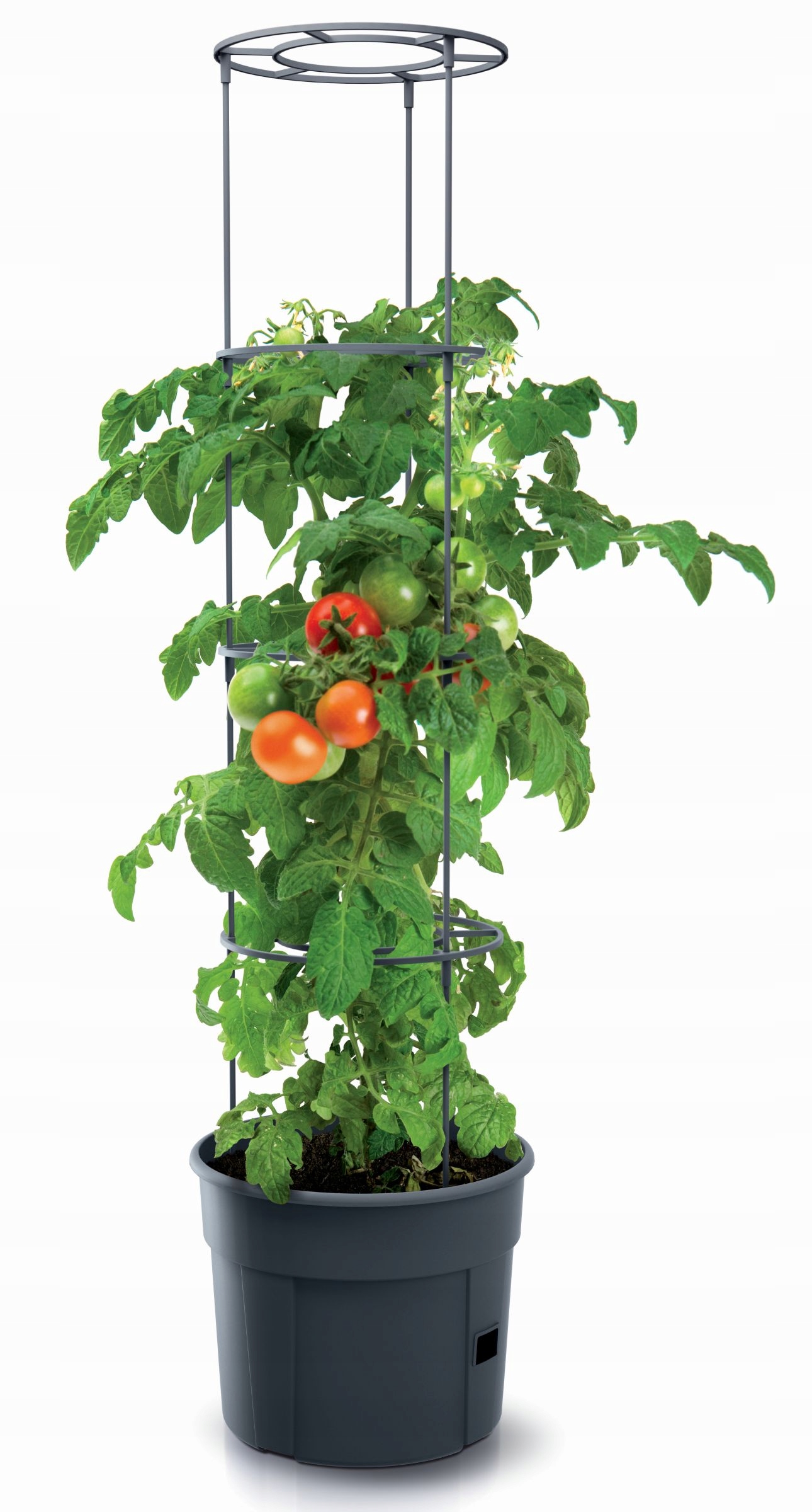 

Doniczka do uprawy pomidorów Pomidor Grower - 12 L