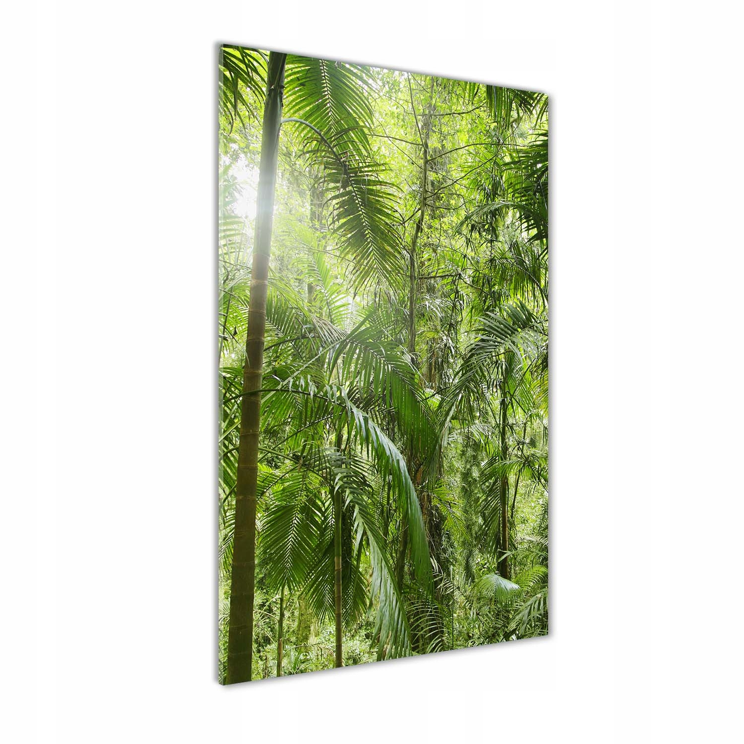

Foto obraz szkło hartowane Las deszczowy 60x120 cm