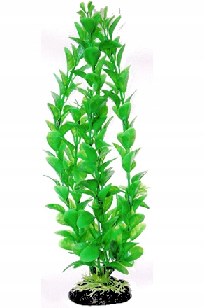 

Sztuczna roślina akwariowa Ludwiga 10 cm