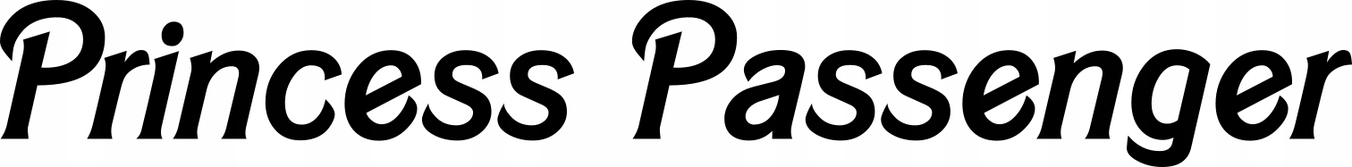 

Naklejka na samochód Princess Passenger