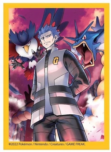 10 koszulek na karty Pokémon TCG Cyrus PTC