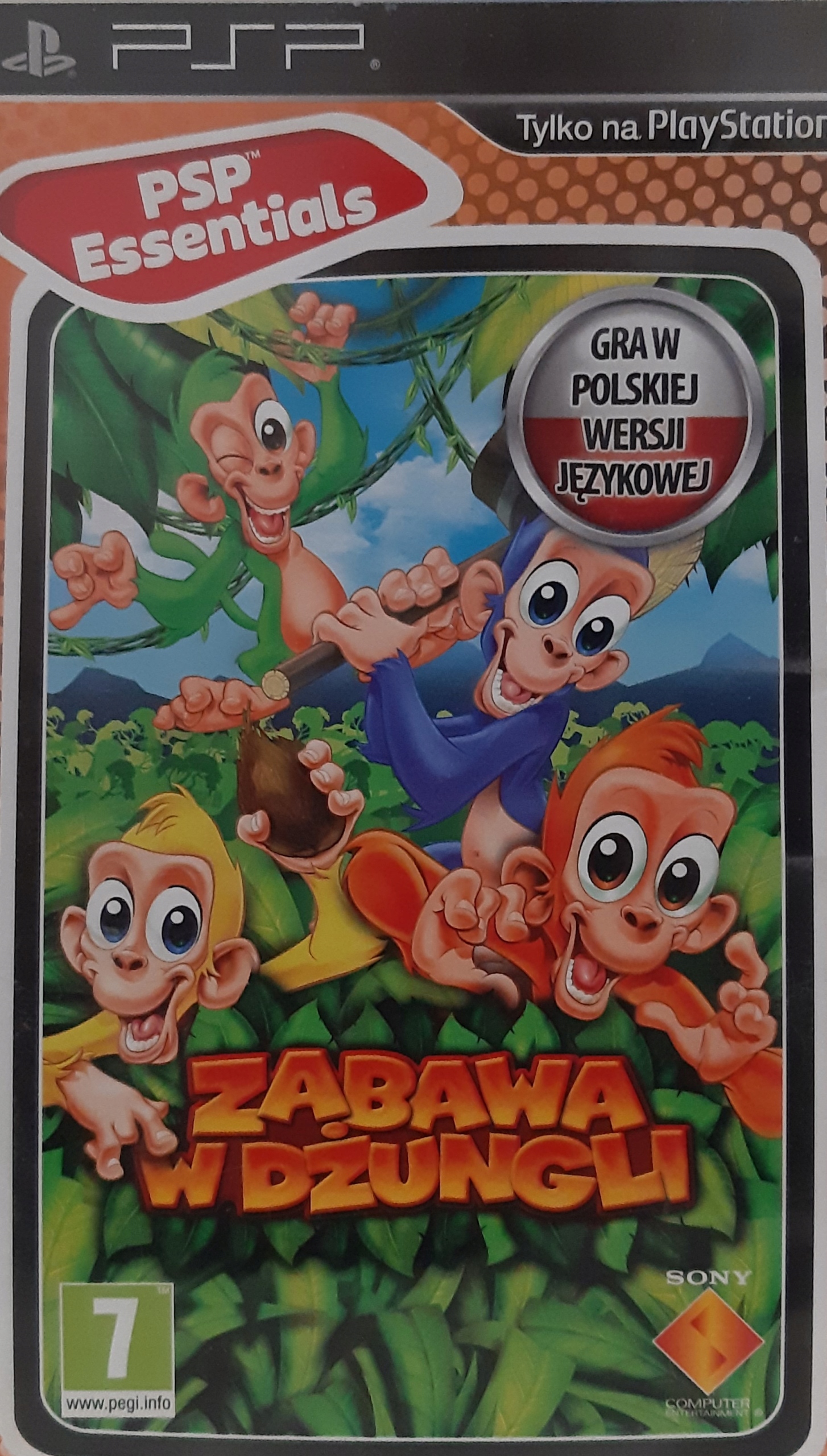 PSP Zabawa w Dżungli