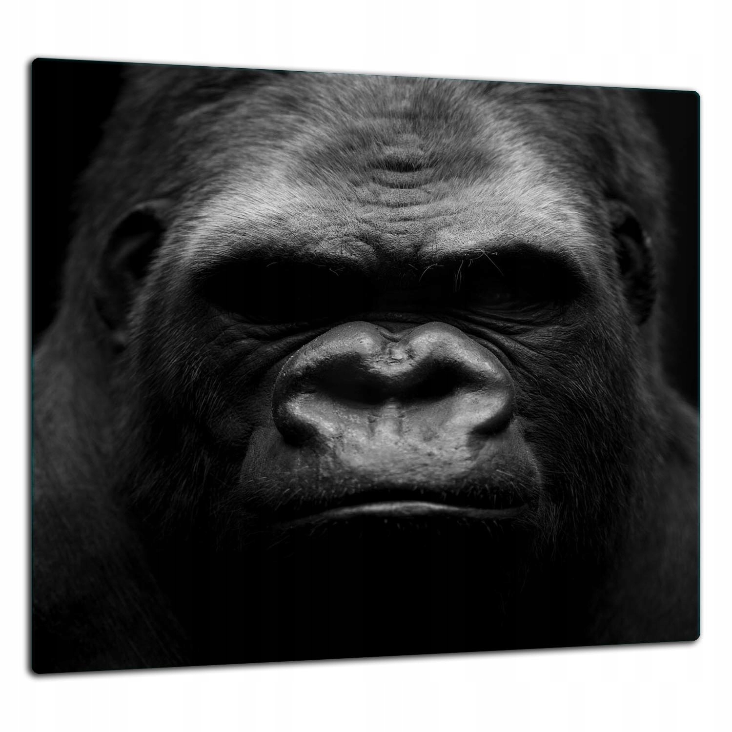 Skleněná Ochranná Deska Panel Lepidlo 65x60 Gorila Tvrzené sklo 7v1