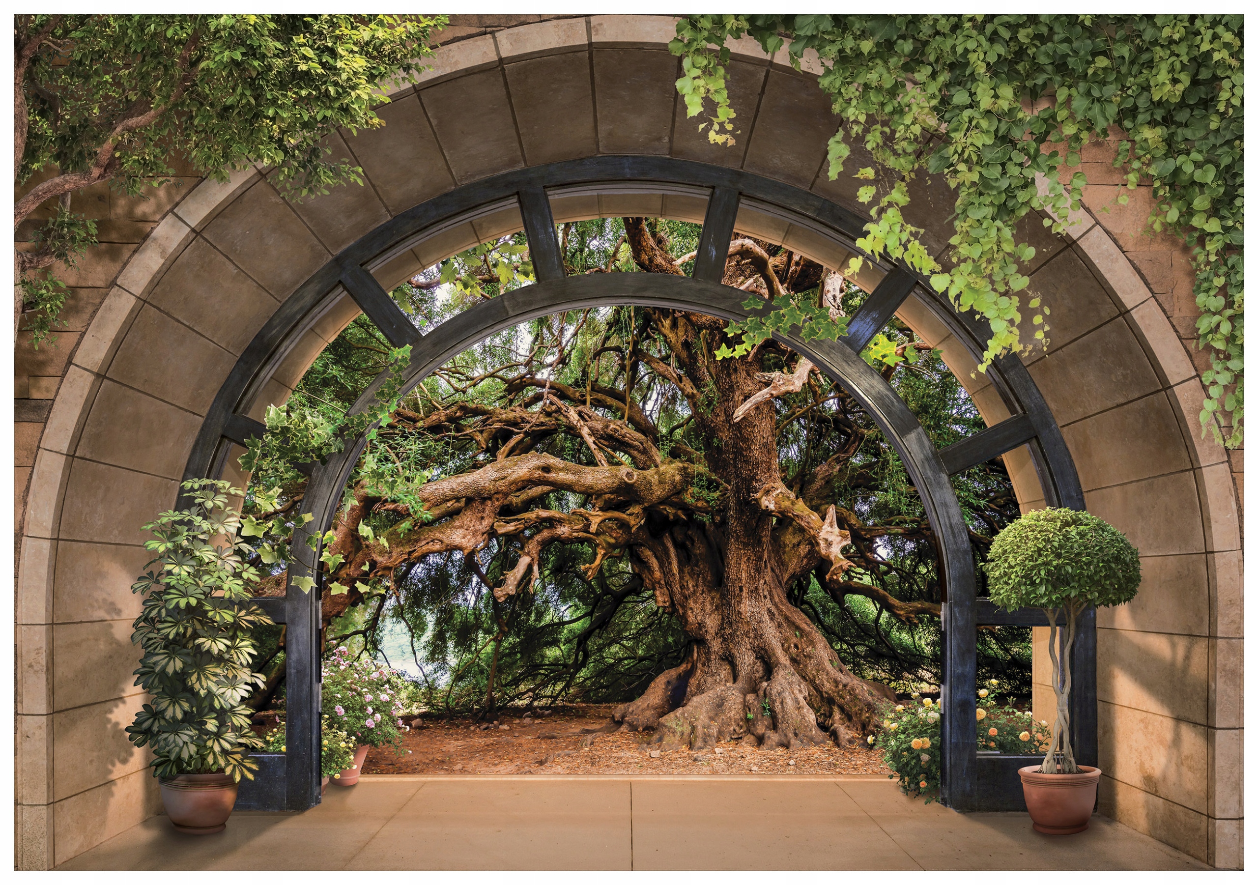 Fototapeta Oblúk v lese Rastliny vinylová príroda 368x254 lepidlo