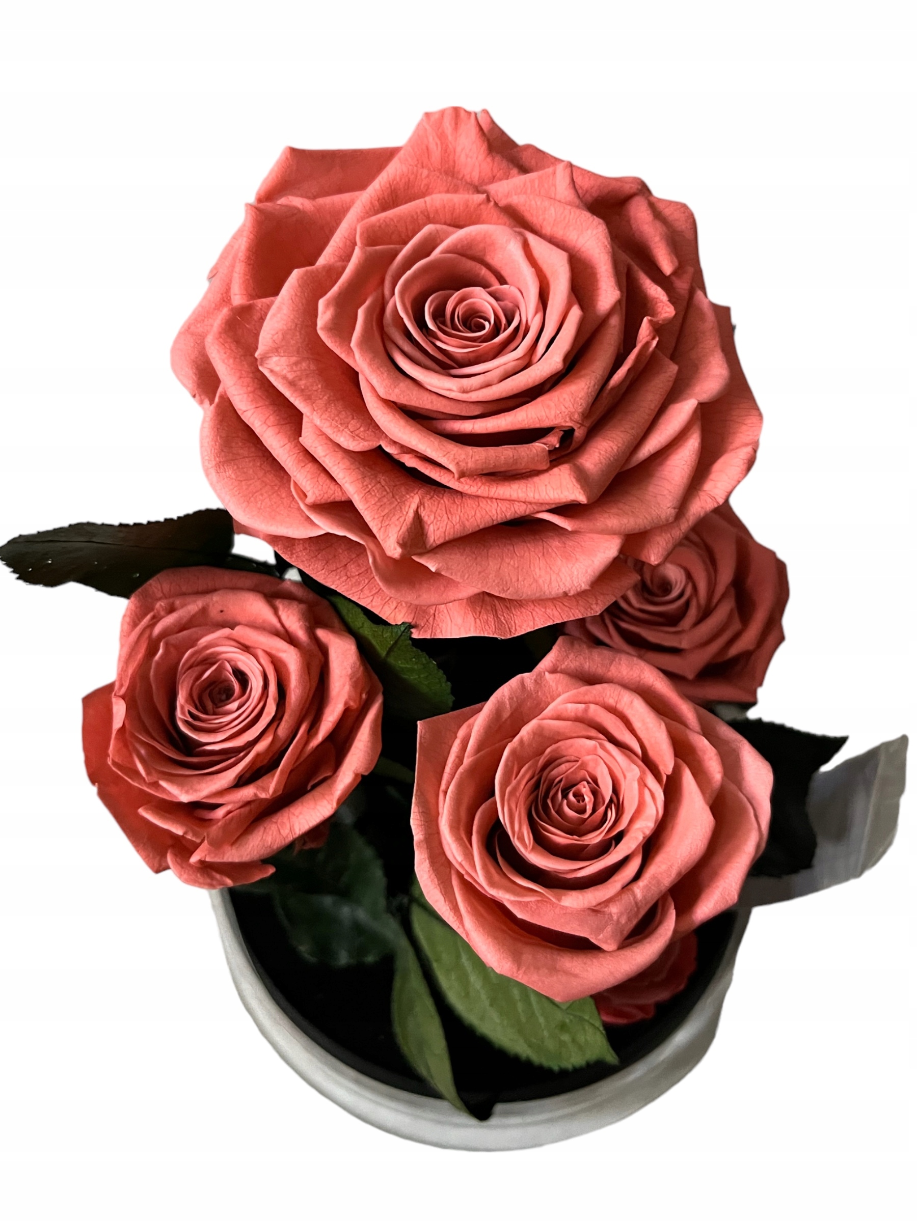 Krásne rastliny v sklenenej záhrade Záhrada v skle