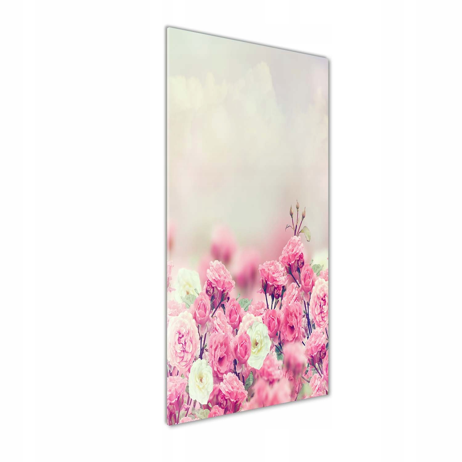 

Foto obraz szkło hartowane Dzika róża 50x125 cm