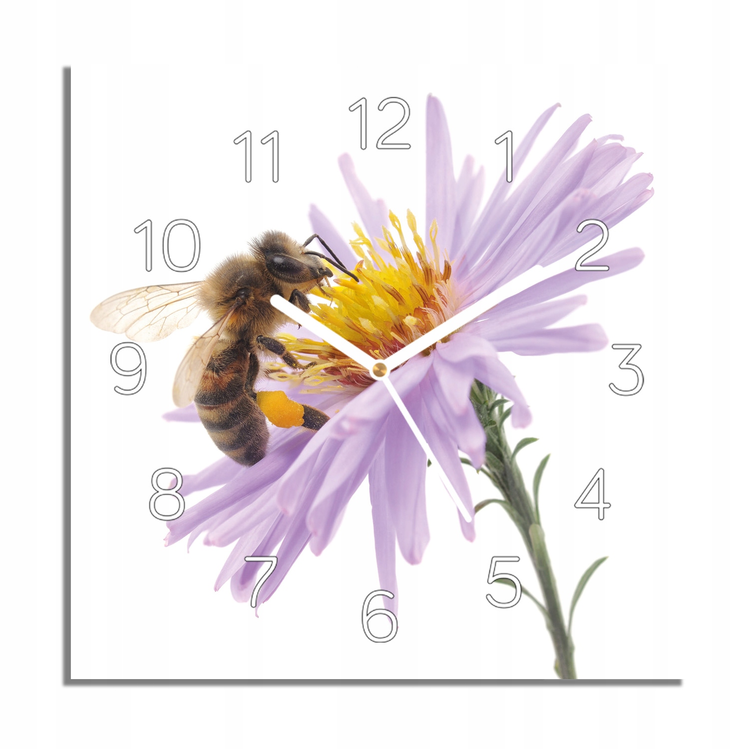 Včela hmyz květina hodiny na skle tiché 30x30
