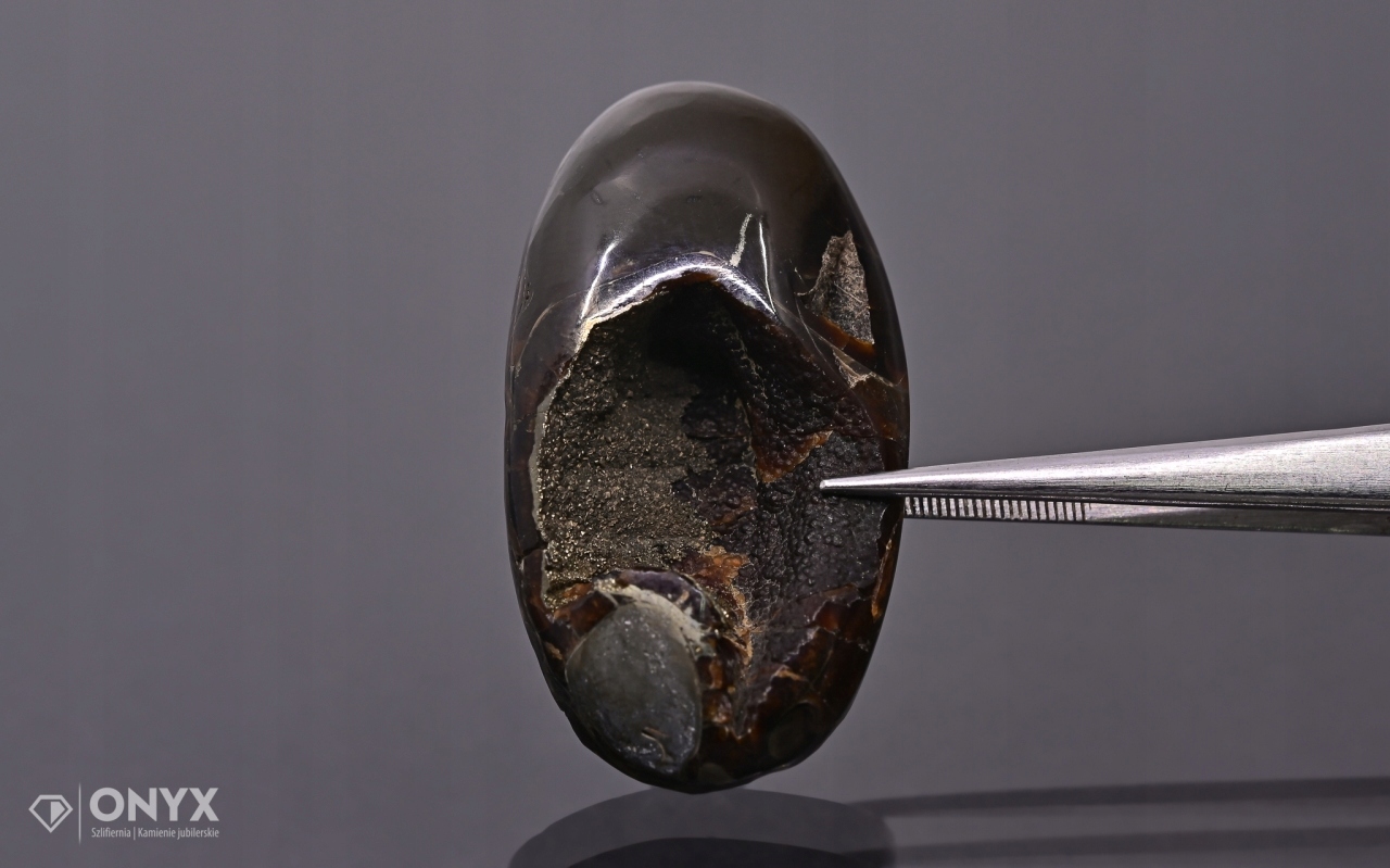 Amonit spiritizovaný ovál 43x23 mm