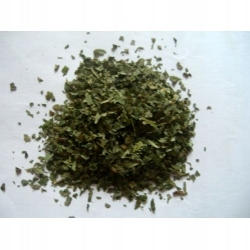 Levně Česnek medvědí 500 g Rafex