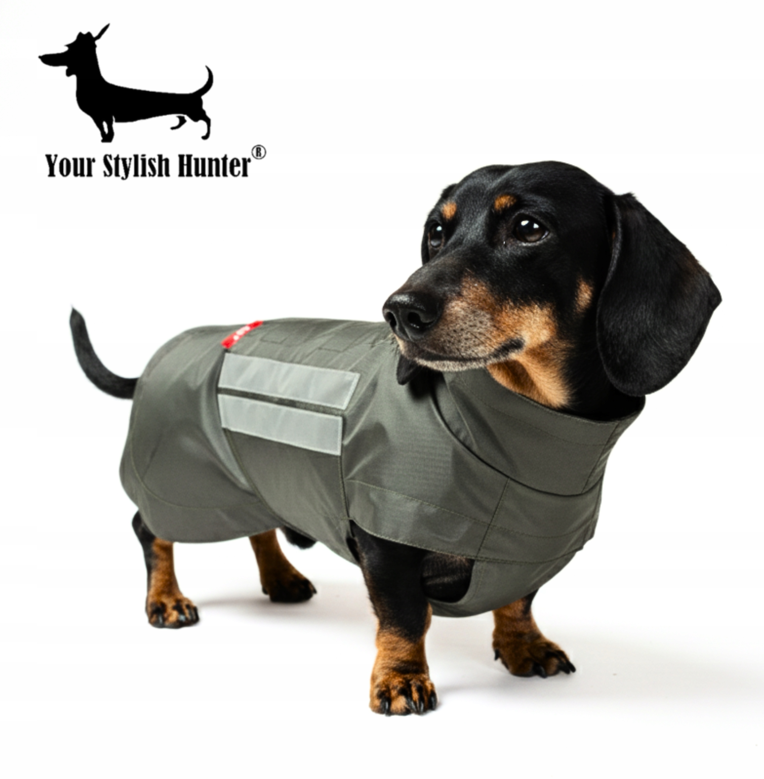 Levně Voděodolná bunda pro psa, oblečení pro psy středních plemen pro jezevčíka 3XL