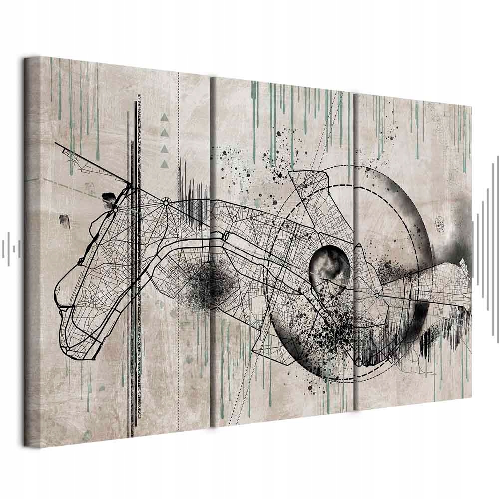 Obraz 3 Částečný Mapa Paříž Francie Vintage Akustický Odhlučník 135x90