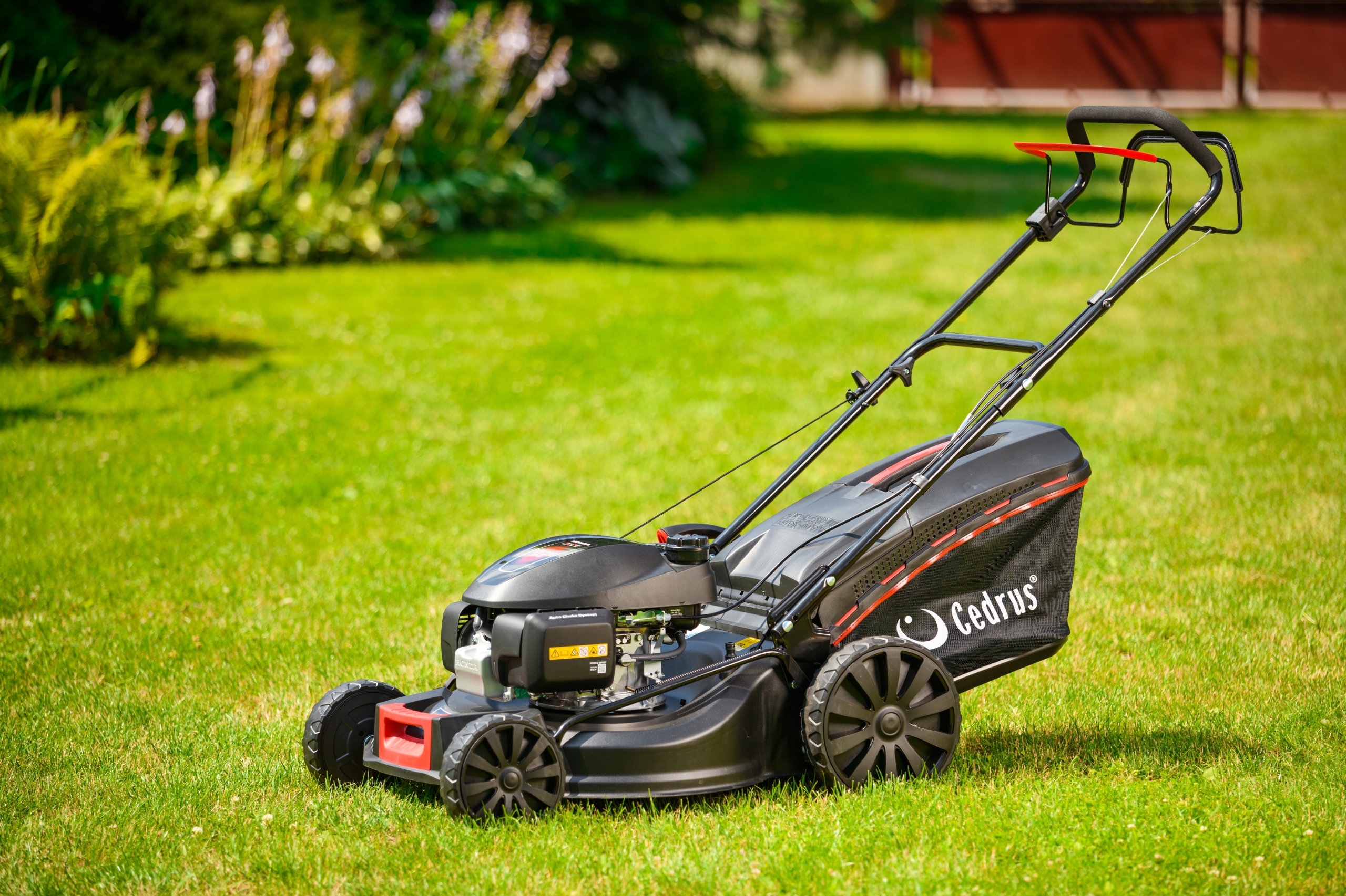 Kosiarka spalinowa HONDA Cedrus 170 cm³ 3w1 z napędem 2x Olej Vegatol Producent silnika Honda