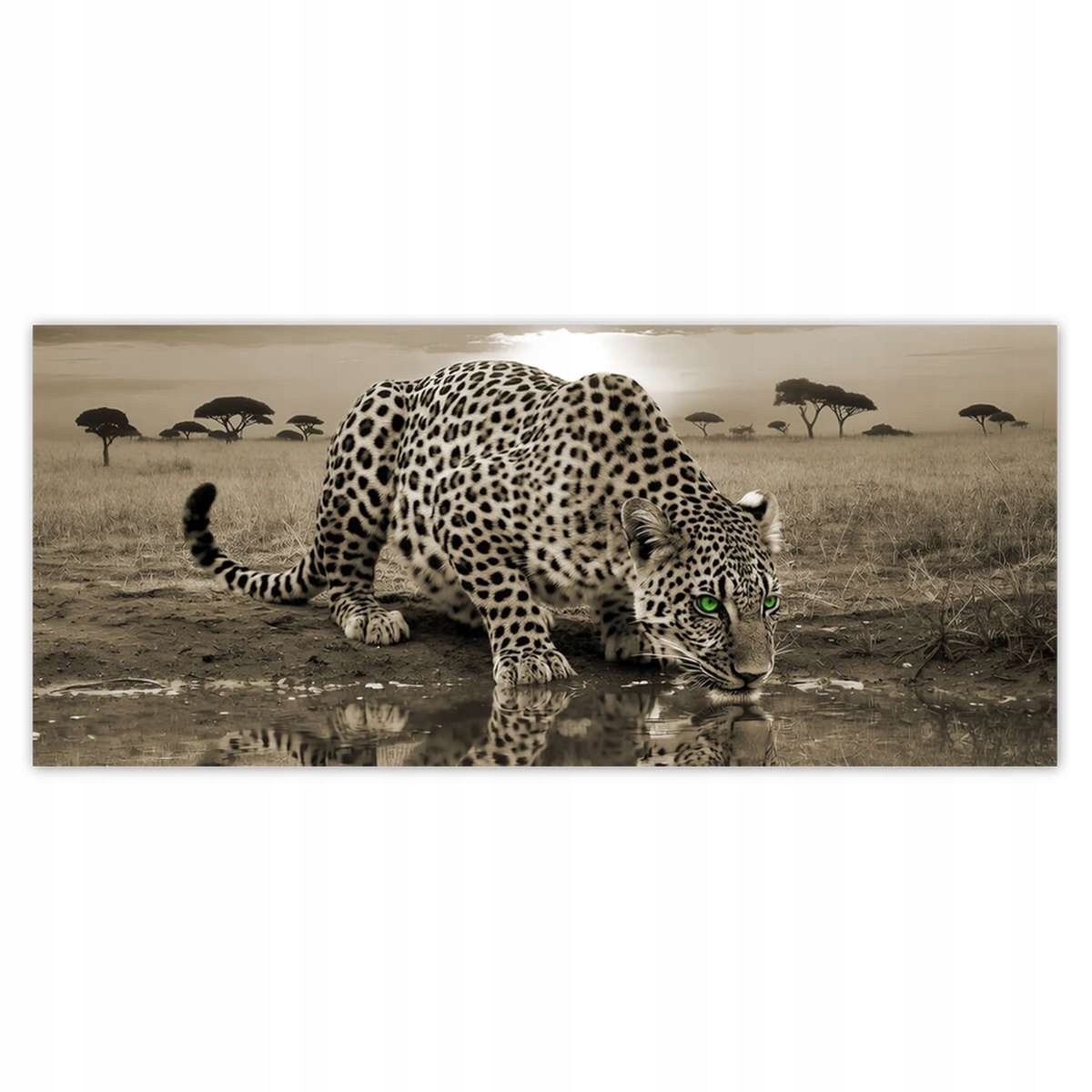 Fototapety 211x91 Tygr Gepard Do Ložnice