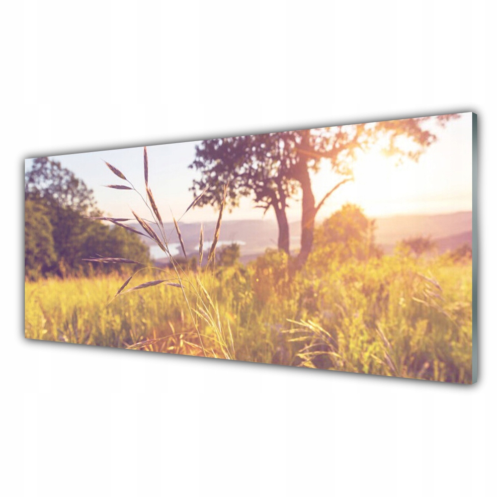 

Fotoobraz ścienny 125x50 Łąka Trawa Drzewo Natura