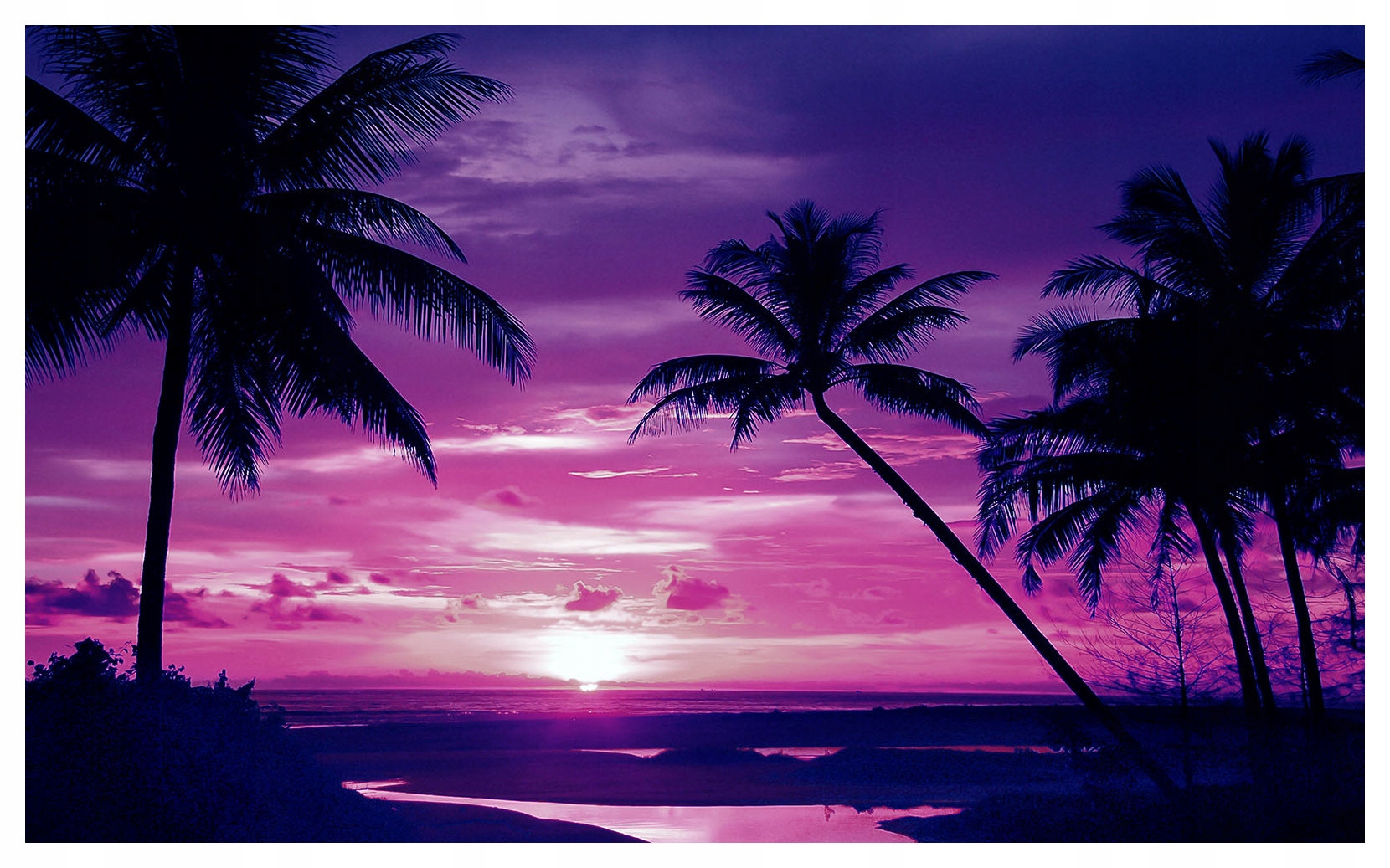 Fototapeta flizelina Západ slunce Palmy Pláž Tropiky Fialová 350x250 lepidlo