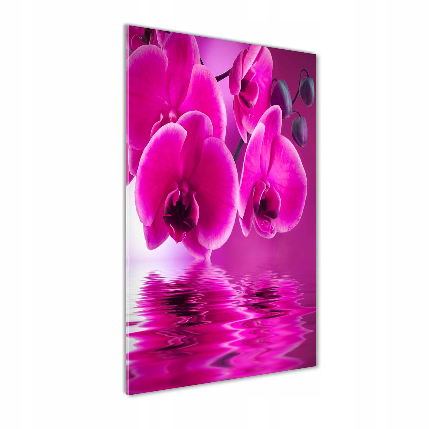 

Foto obraz szkło akrylowe Różowa orchidea 70x140cm
