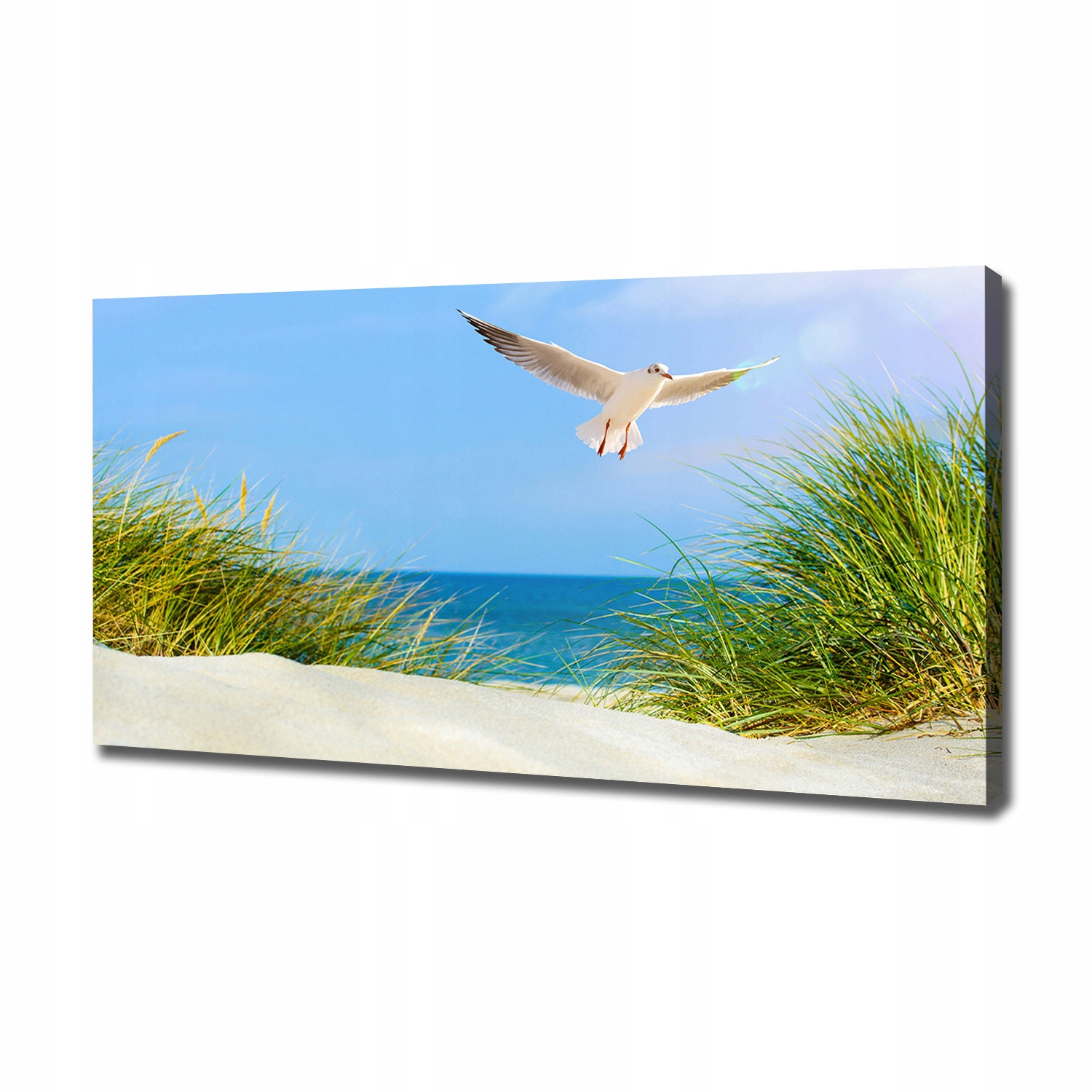 

Foto obraz na płótnie Mewa na plaży 120x60 cm