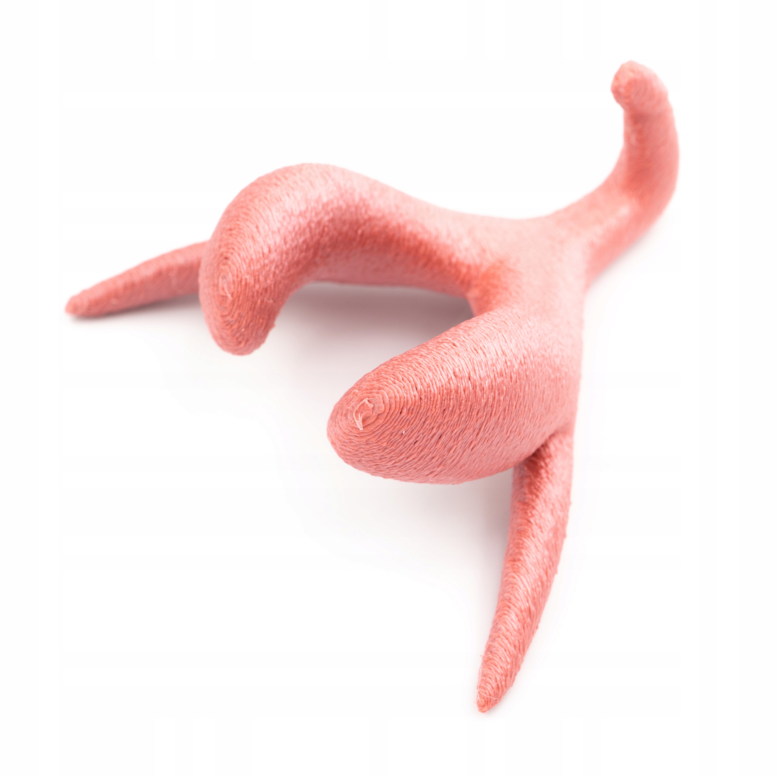 

Łechtaczka Gotowy Model Anatomiczny 3D Skala 1:1