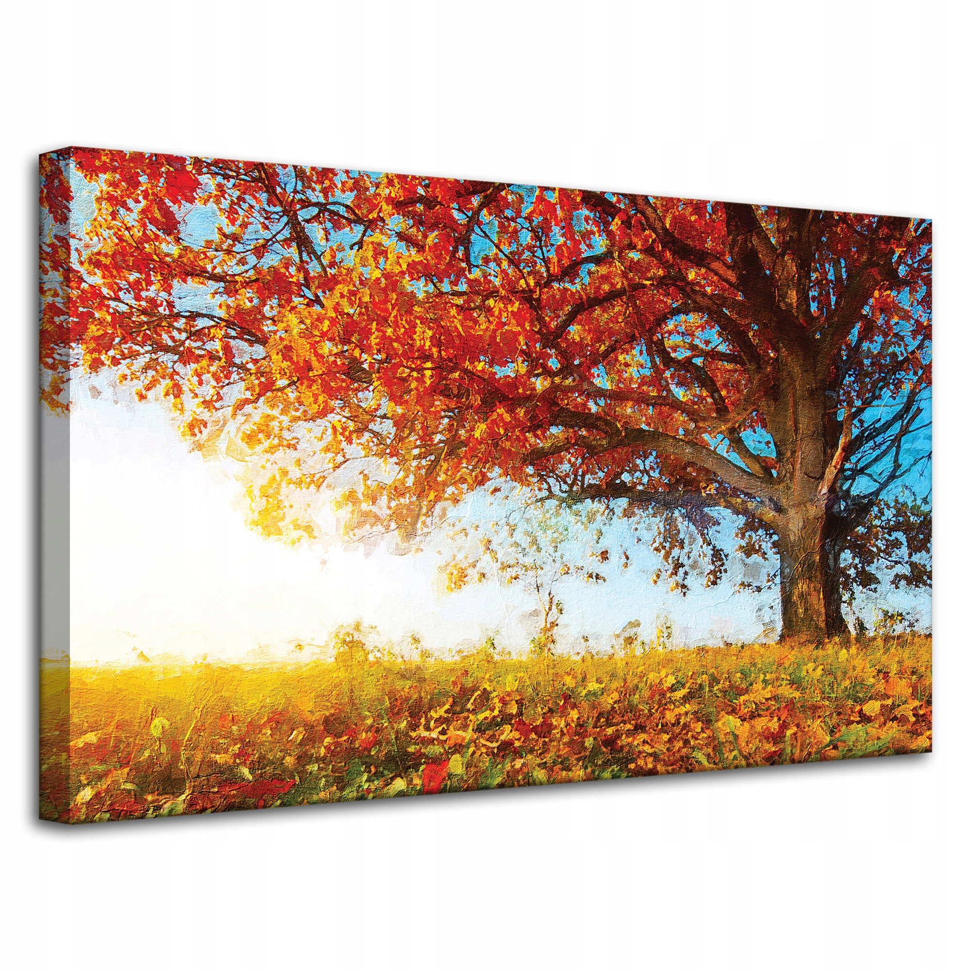 Obraz na plátně Krásný strom Červené listy Podzim 80x50 cm