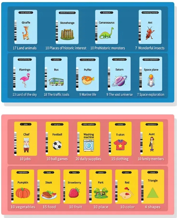 ZABAWKA DO WCZESNEJ NAUKI ANGIELSKIEGO 224 KARTY Płeć chłopcy dziewczynki