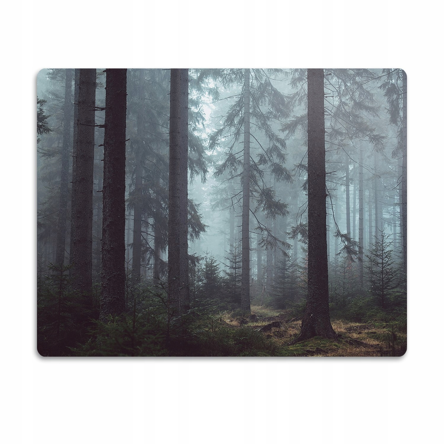 Levně Pro psa podložka pod misky Mlžný les 60x40 cm
