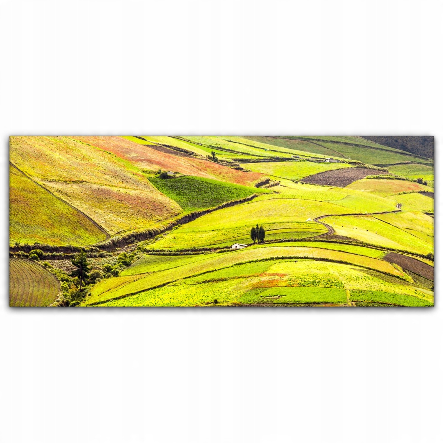 

Canvas na ramie ścienny 125x50 Pole Wieś Krajobraz