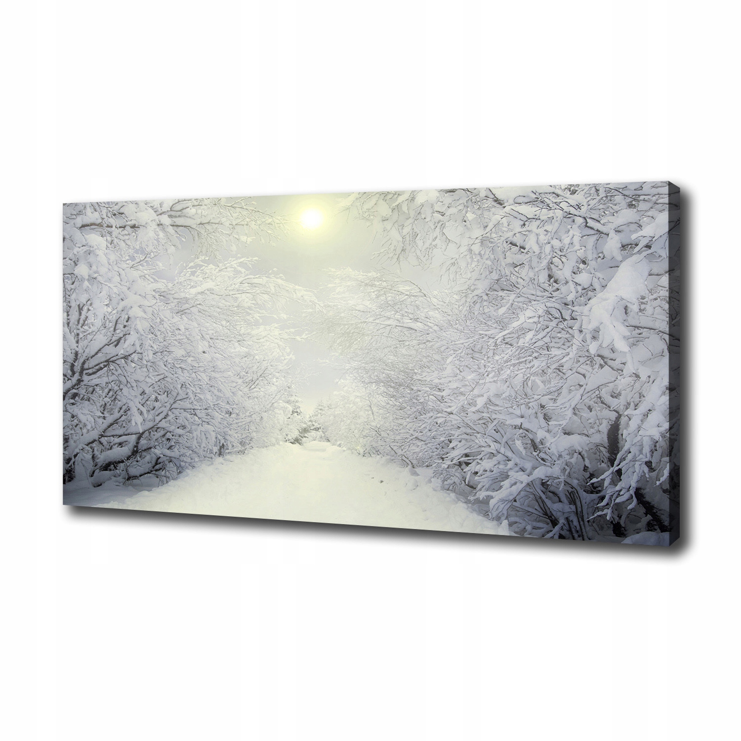 

Foto obraz na płótnie Piękny las zimą 100x50 cm
