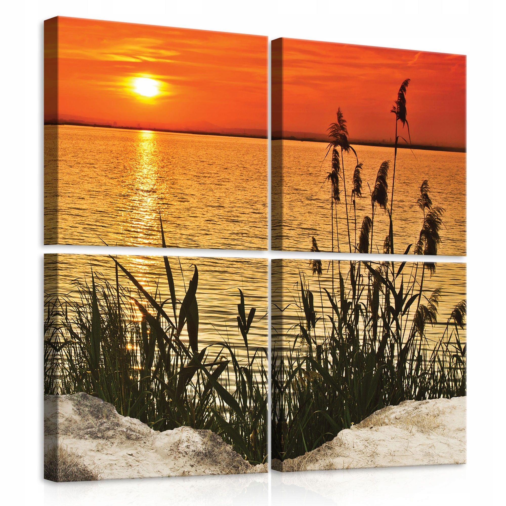 Obraz 50x50 Západ slunce vodní nádrž rákos příroda klid harmonie