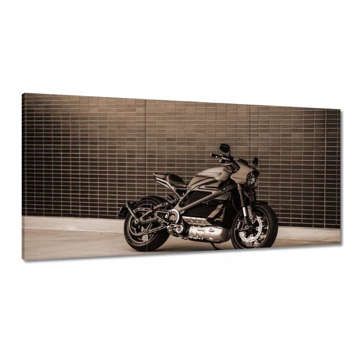 Obrazy 180x90 Harley Davidson Motocykel