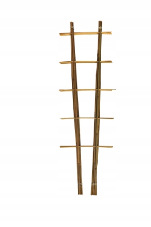 

Drabinka bambusowa 60cm S/2