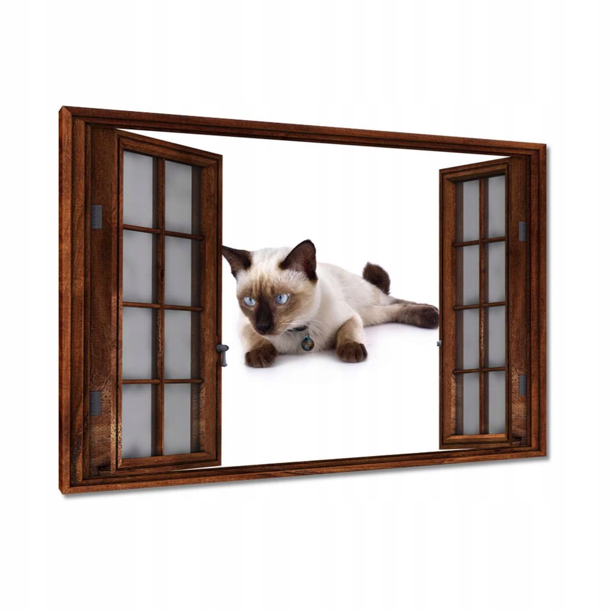 Obrazy 120x80 Kočička Kočky Kicia