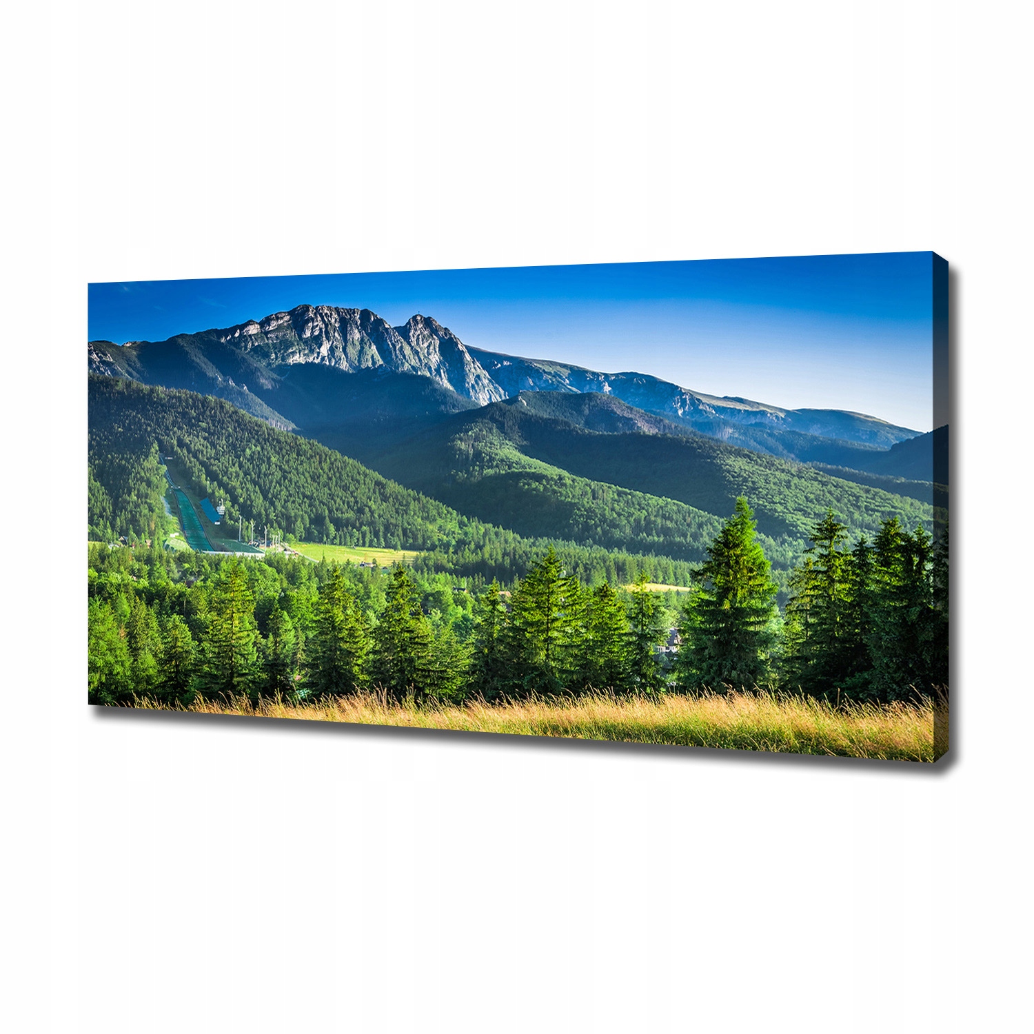 

Foto obraz na płótnie Skocznia w Tatrach 120x60 cm