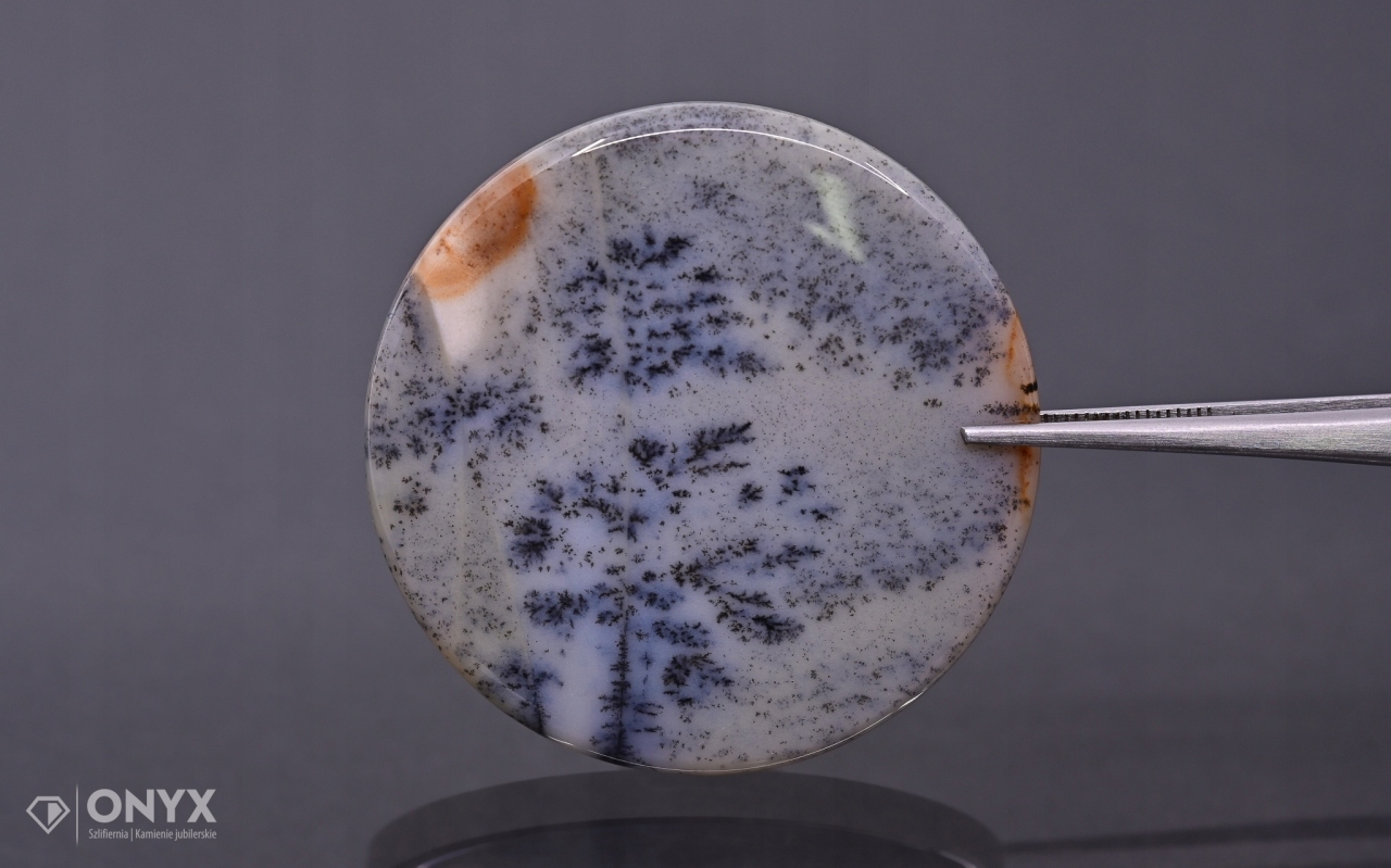 Dendritový achát z Kazachstánu konvexní mělký kruh