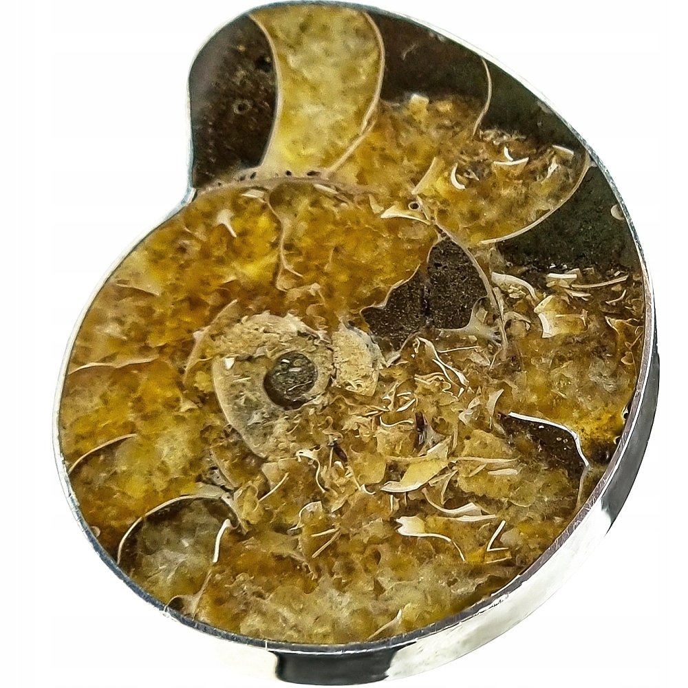 Amonit Originální Prstýnek Stříbro R 10-26 Unikát