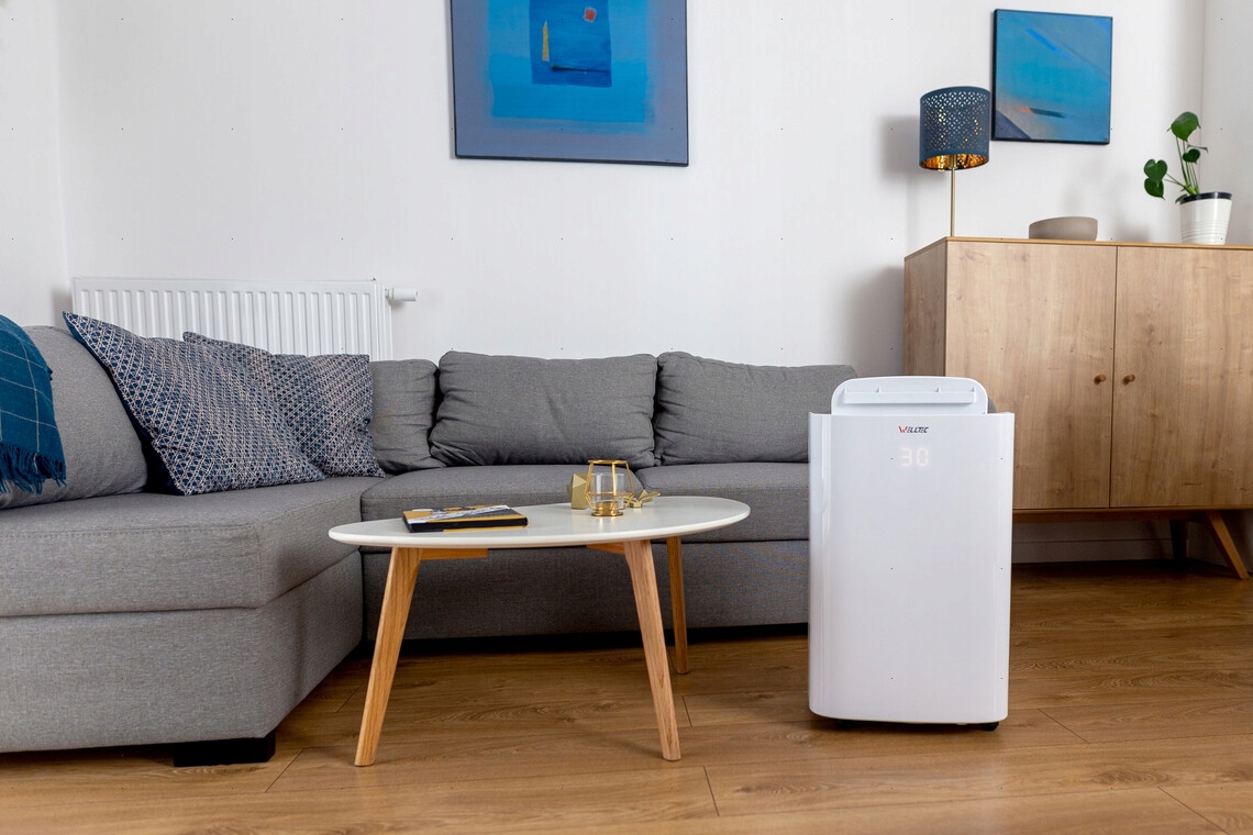 WELLTEC DHN50 - OSUSZACZ POWIETRZA - OUTLET Kolor dominujący biały