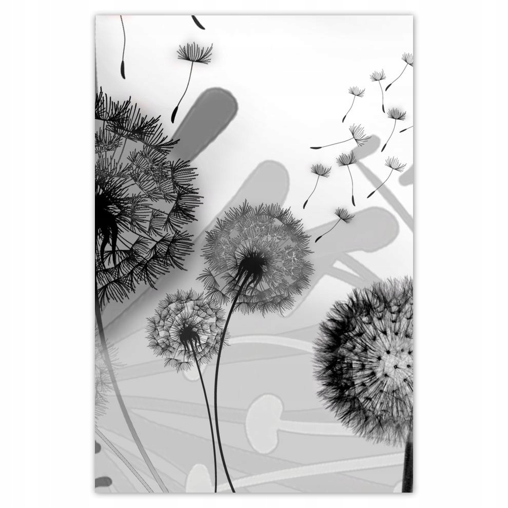 

Plakat 62x93 Dmuchawce B&w