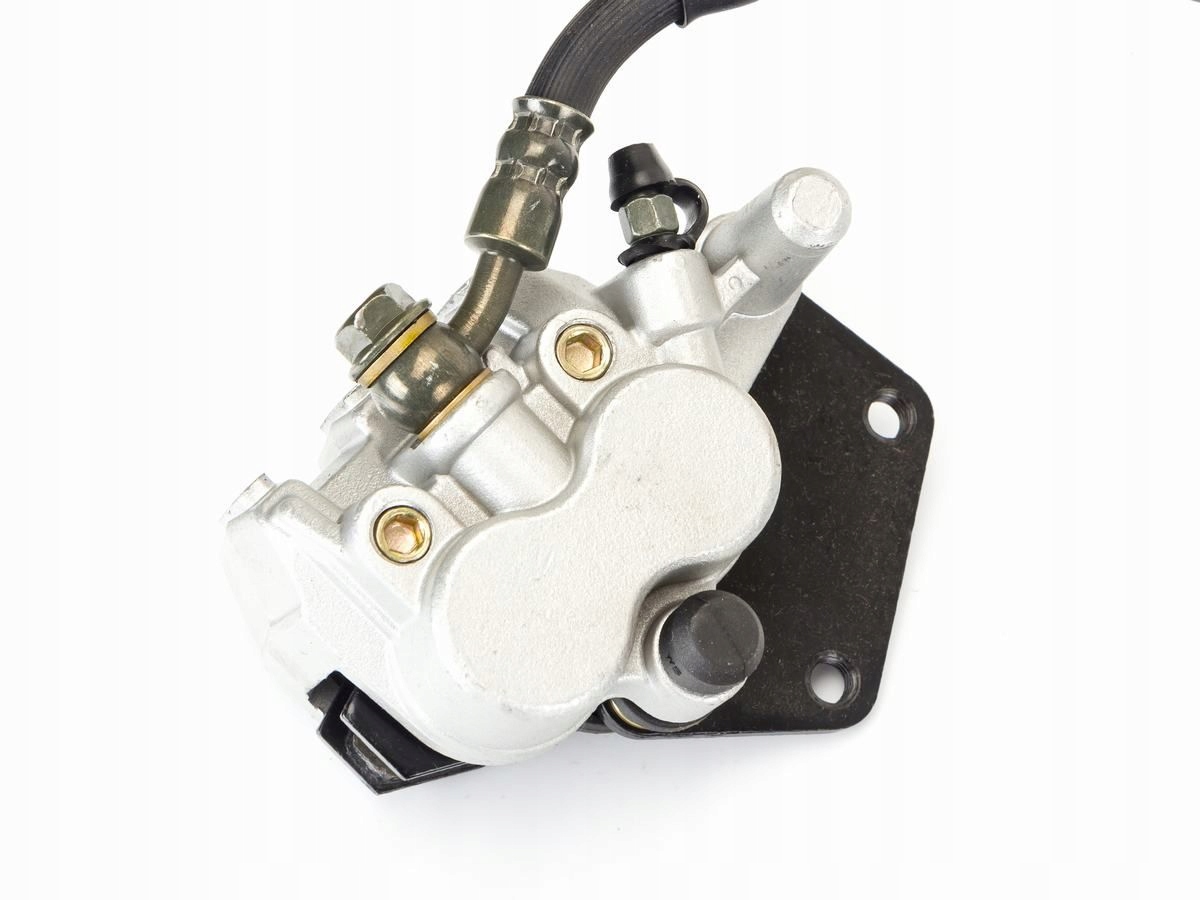 D5e55e4446888bebd7d3aa72c9c1