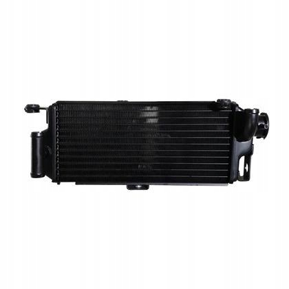 T38763 - РАДИАТОР ZONTES ZT 310-T