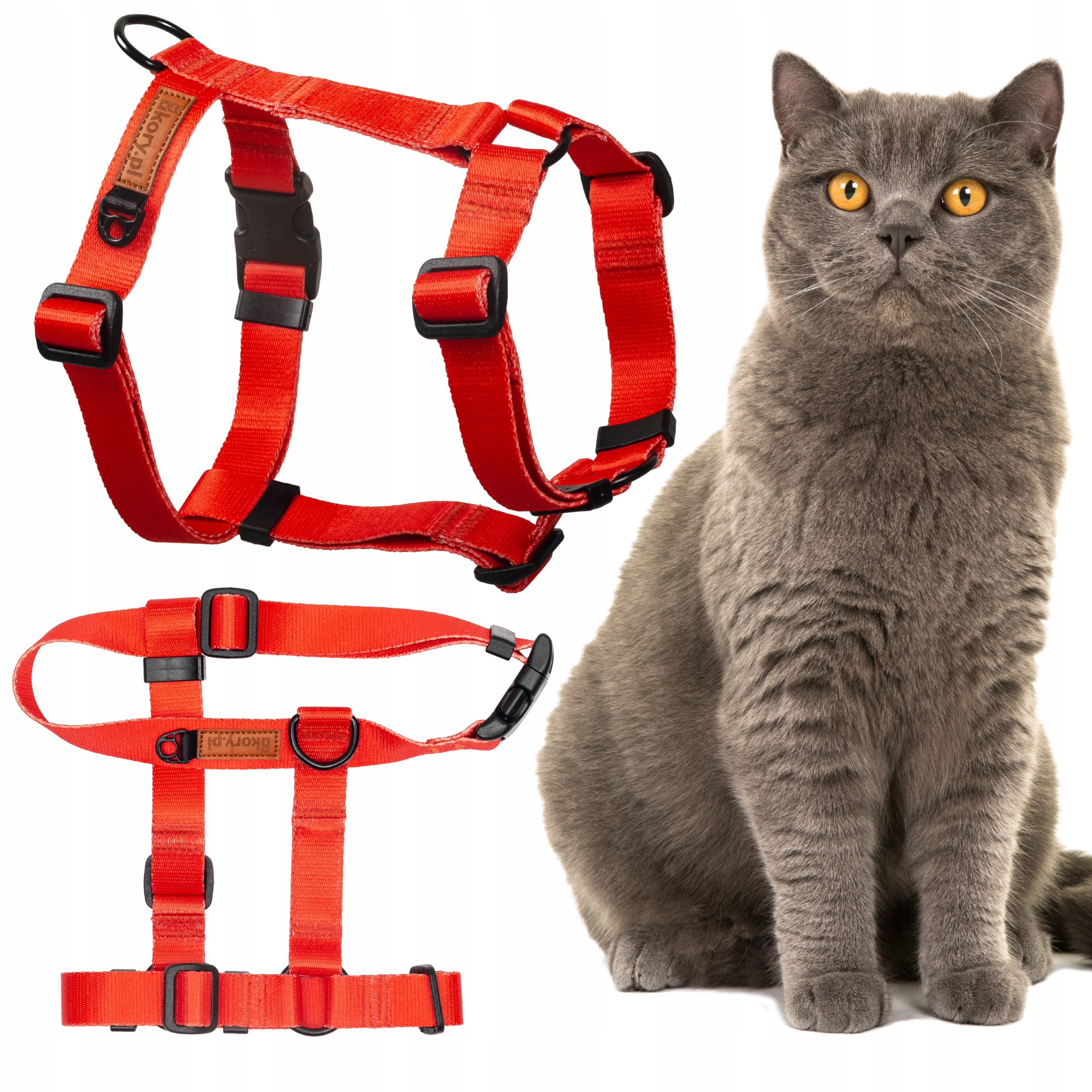 Levně Postroj guard nastavitelný pro koťata malého kočičího kotěte Ukory Červený Hladký