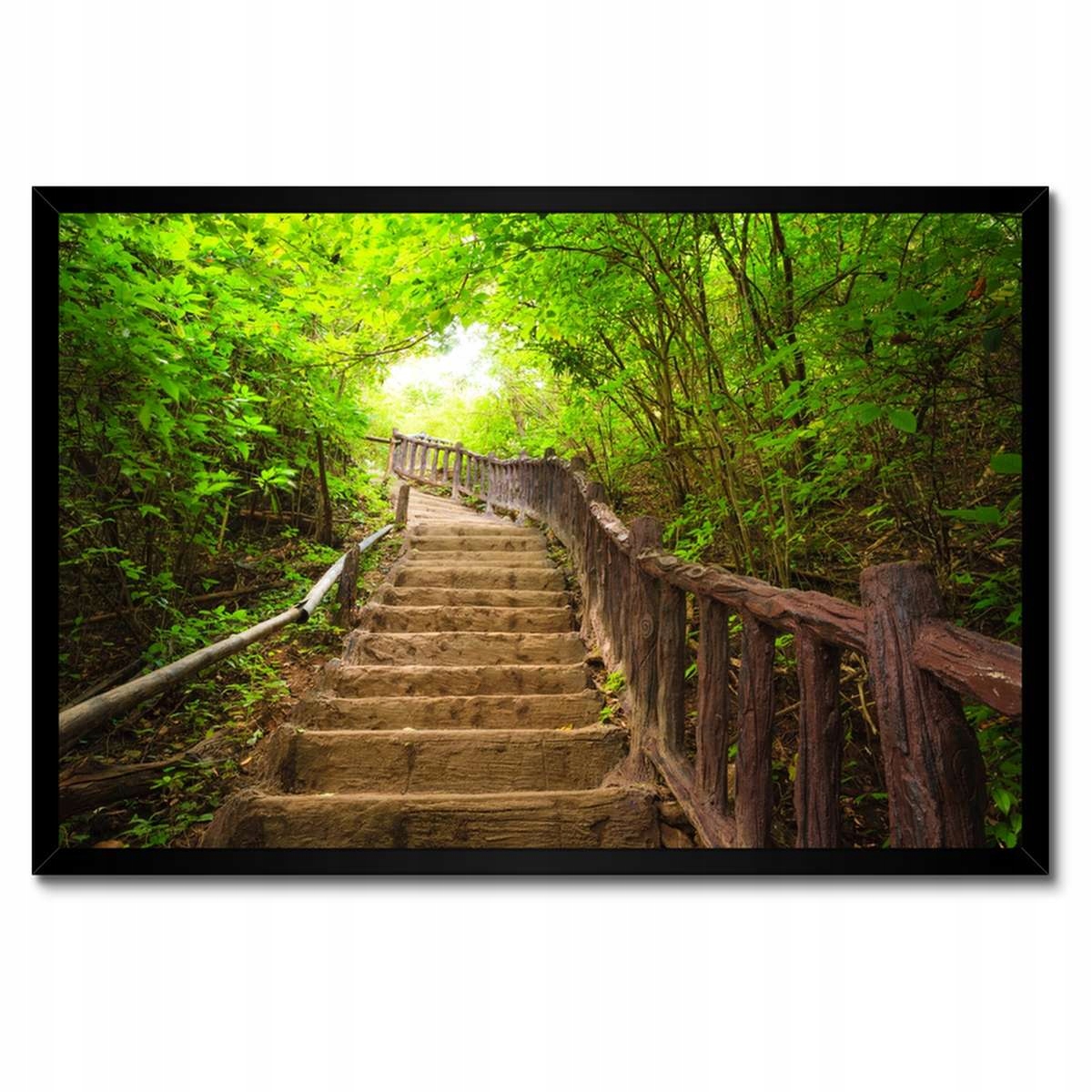 Plakáty v rámu 60x40 Schody do lesa